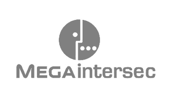 Mega Intersec