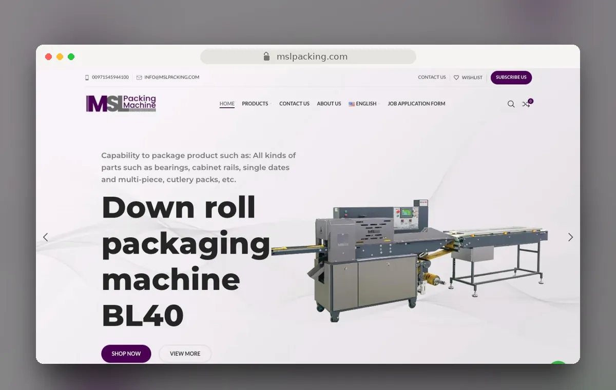 MSL Packing Machine website design by Art Sun Studio